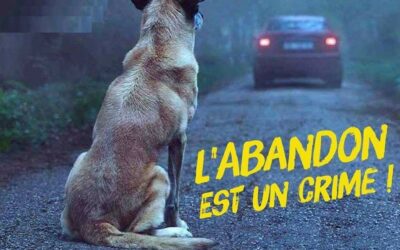 L’abandon est un crime !