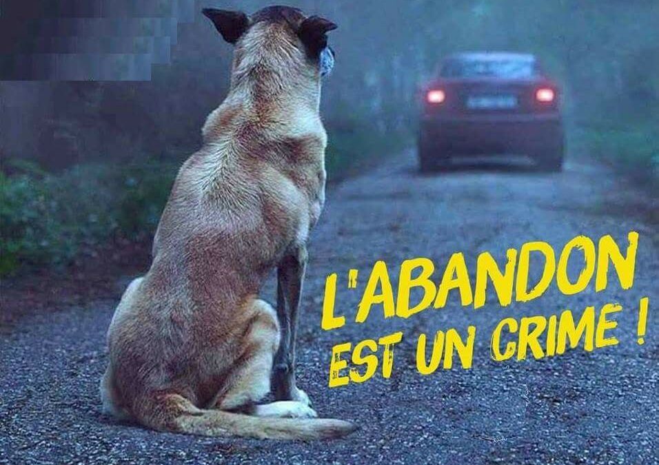 L’abandon est un crime !