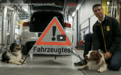 TCS test sur les dangers de l’habitacle surchauffé