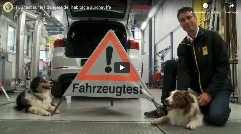 TCS test sur les dangers de l’habitacle surchauffé