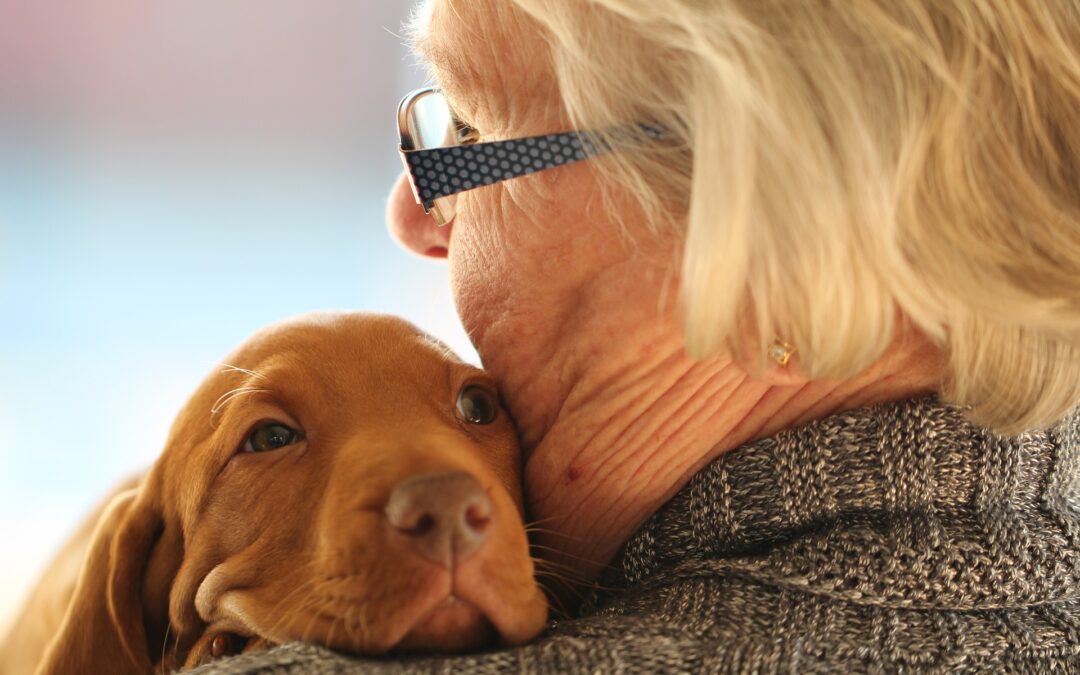 Adopter un animal pour garder le moral et la forme ?