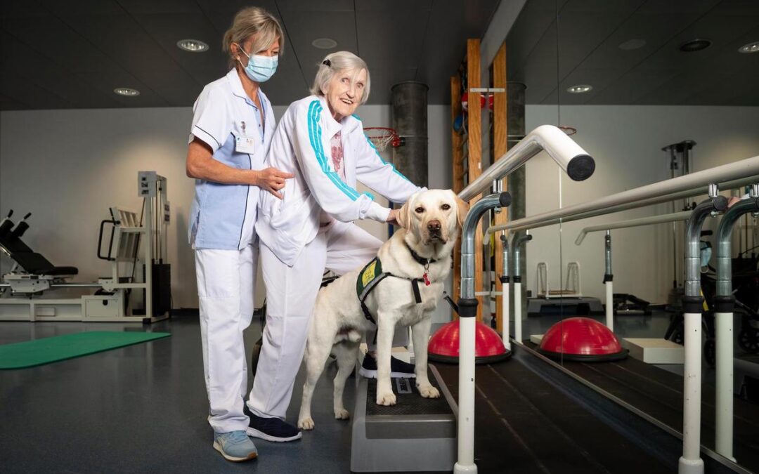 A l’hôpital de Riaz, la thérapie qui a du chien