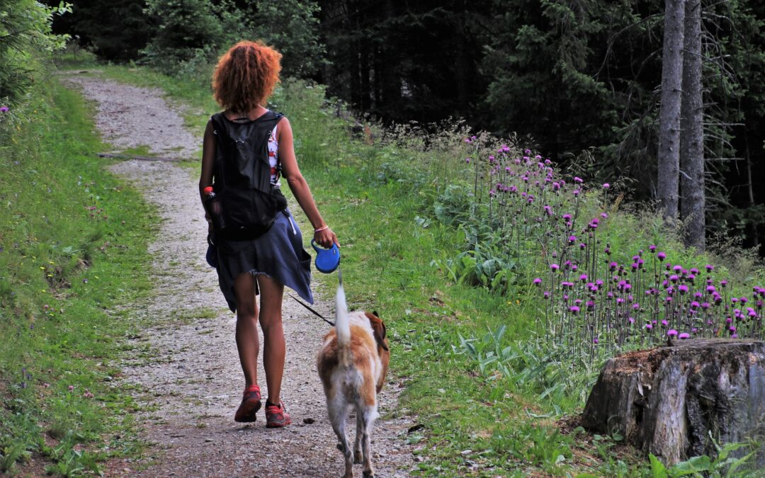 Rappel : Chiens en laisse durant la période de reproduction de la faune