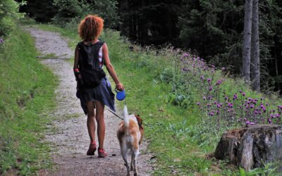Rappel : Chiens en laisse durant la période de reproduction de la faune