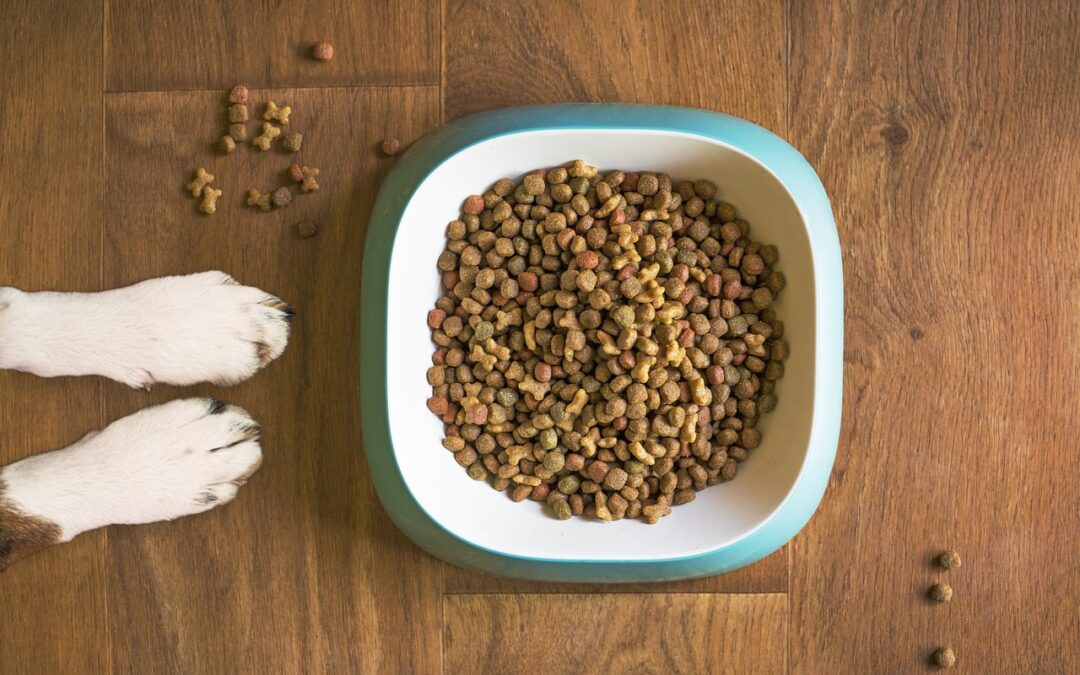 Top 3 des aliments secs pour chiens